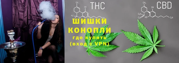 ПСИЛОЦИБИНОВЫЕ ГРИБЫ Горнозаводск