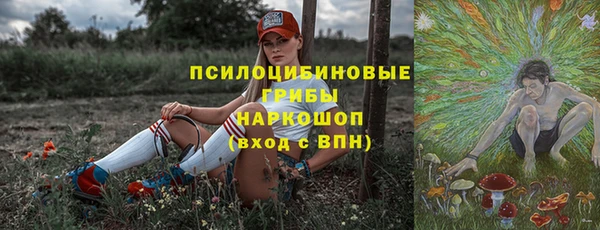дурь Алзамай