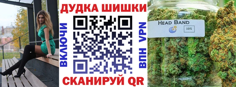 Конопля план  сайты даркнета телеграм  Сасово 